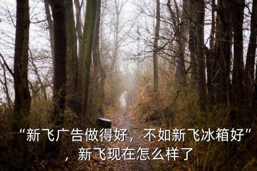 新鄉(xiāng)新飛現(xiàn)在怎么樣,新飛現(xiàn)在怎么樣了