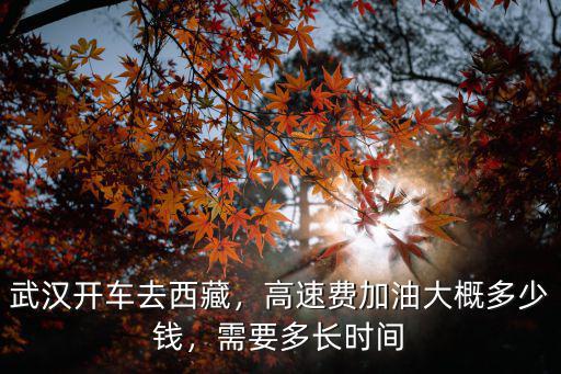 武漢到信陽高速過路費(fèi)多少錢,高速費(fèi)加油大概多少錢