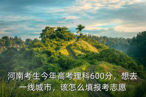 河南考生今年高考理科600分，想去一線城市，該怎么填報考志愿