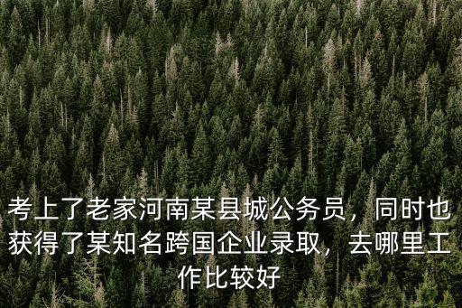 考上了老家河南某縣城公務員，同時也獲得了某知名跨國企業錄取，去哪里工作比較好