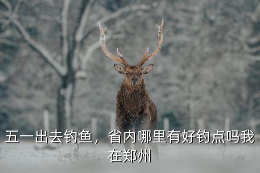 五一出去釣魚，省內哪里有好釣點嗎我在鄭州