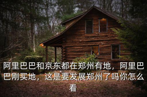 鄭州京東實體店都在哪里,阿里巴巴和京東都在鄭州有地