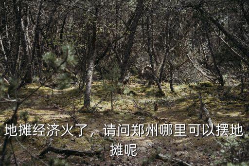 地?cái)偨?jīng)濟(jì)火了，請問鄭州哪里可以擺地?cái)偰? class=