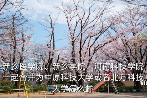 新鄉醫學院、新鄉學院、河南科技學院一起合并為中原科技大學或者北方科技大學怎么樣