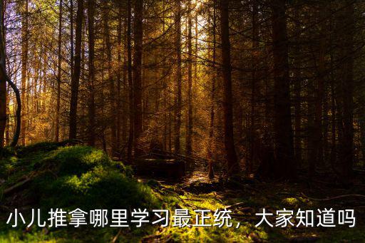 小兒推拿哪里學習最正統，大家知道嗎