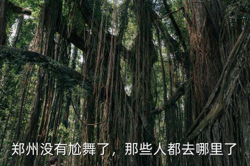 鄭州沒有尬舞了，那些人都去哪里了