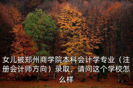 鄭州商學院規(guī)模怎么樣,鄭州商學院怎么樣