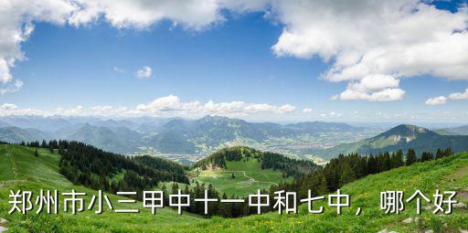 鄭州市小三甲中十一中和七中，哪個好