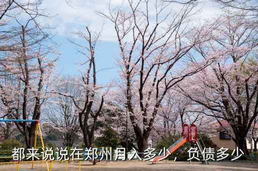 都來說說在鄭州月入多少，負債多少