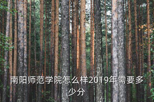 南陽師范學院藝術學院怎么樣,南陽師范學院怎么樣