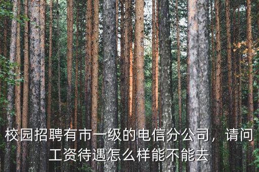 校園招聘有市一級(jí)的電信分公司，請(qǐng)問工資待遇怎么樣能不能去