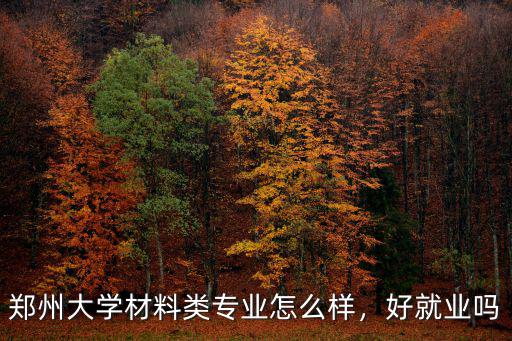 鄭州大學德國交流項目怎么樣,鄭州大學中外合作辦學怎么樣