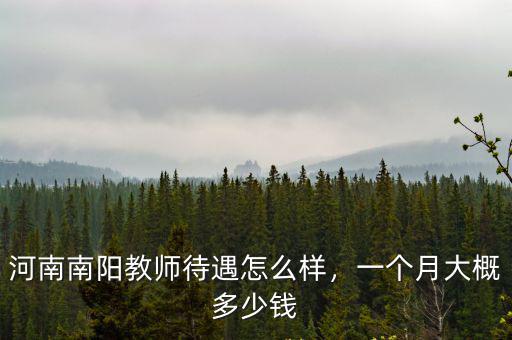 河南南陽教師待遇怎么樣，一個月大概多少錢