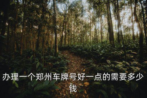 辦理一個(gè)鄭州車牌號(hào)好一點(diǎn)的需要多少錢