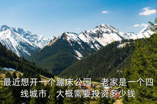 最近想開一個蹦床公園，老家是一個四線城市，大概需要投資多少錢