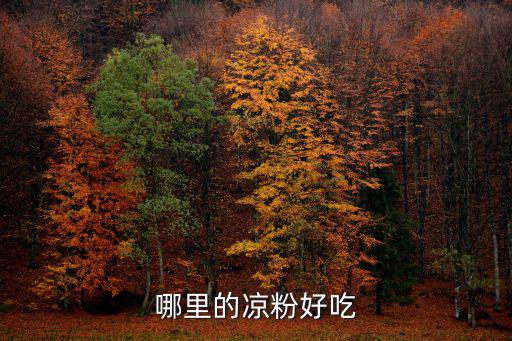哪里的涼粉好吃