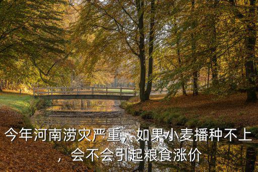 今年河南澇災(zāi)嚴(yán)重，如果小麥播種不上，會(huì)不會(huì)引起糧食漲價(jià)