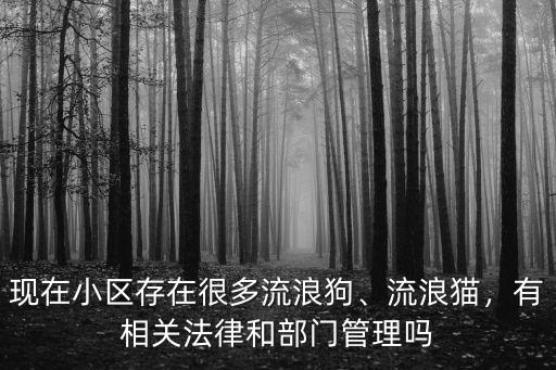 現(xiàn)在小區(qū)存在很多流浪狗、流浪貓，有相關(guān)法律和部門管理嗎