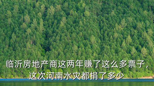 臨沂房地產(chǎn)商這兩年賺了這么多票子，這次河南水災(zāi)都捐了多少
