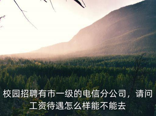 校園招聘有市一級的電信分公司，請問工資待遇怎么樣能不能去