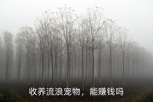 鄭州哪里收養流浪貓狗,那些收養流浪貓
