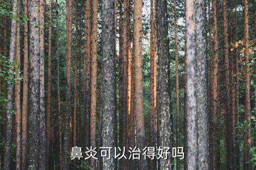 南陽哪里鼻炎治得好,鼻炎可以治得好嗎