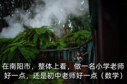 在南陽市，整體上看，做一名小學老師好一點，還是初中老師好一點（數學）