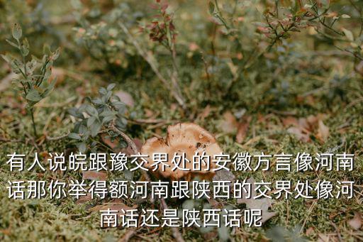 河南哪里像河南話,河南哪個城市是正宗的河南話