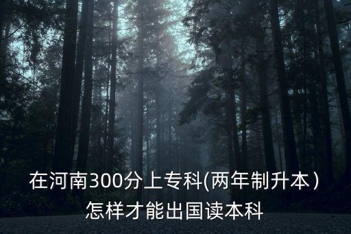 河南專升本多少分上可以上三本,河南三本有公辦的嗎
