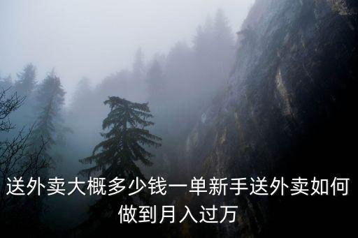 南陽外賣多少錢一單,送外賣大概多少錢一單