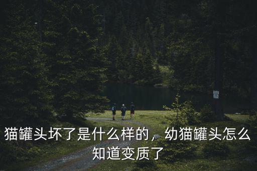 貓罐頭壞了是什么樣的，幼貓罐頭怎么知道變質了