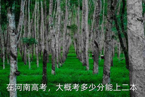 在河南高考，大概考多少分能上二本