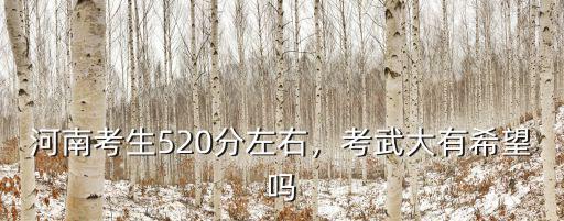 河南考武漢要多少分,河南考生520分左右