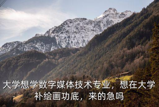 大學想學數字媒體技術專業，想在大學補繪畫功底，來的急嗎