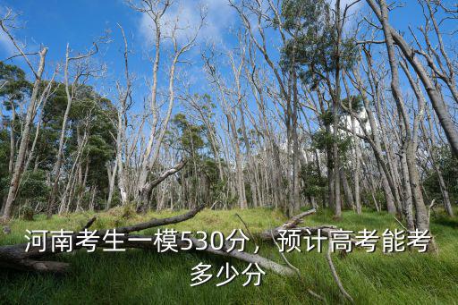 河南高考分數怎么劃分,河南考生一模530分