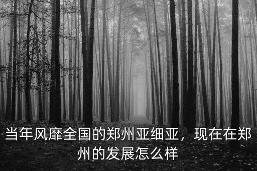 當年風靡全國的鄭州亞細亞，現在在鄭州的發展怎么樣