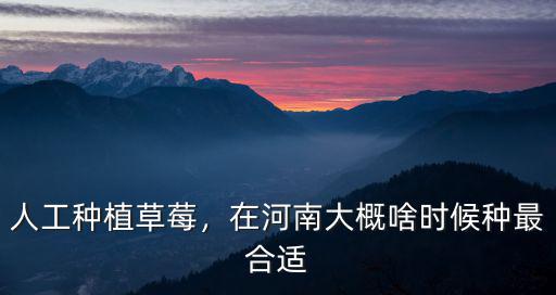 人工種植草莓，在河南大概啥時候種最合適