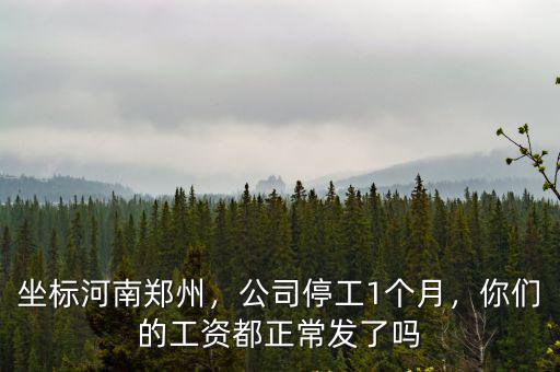 河南省企業停工工資怎么發,企業停產工資如何發放