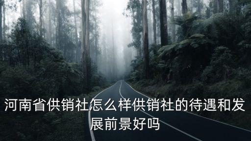 河南省供銷社怎么樣供銷社的待遇和發(fā)展前景好嗎