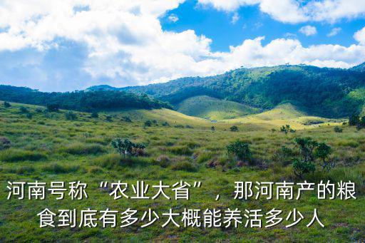河南號(hào)稱“農(nóng)業(yè)大省”，那河南產(chǎn)的糧食到底有多少大概能養(yǎng)活多少人