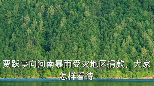 賈躍亭向河南暴雨受災地區捐款，大家怎樣看待