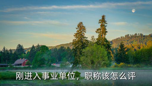 剛進入事業(yè)單位，職稱該怎么評