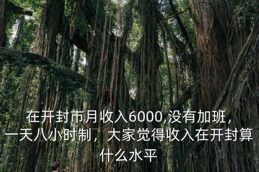 在開封市月收入6000,沒有加班，一天八小時制，大家覺得收入在開封算什么水平