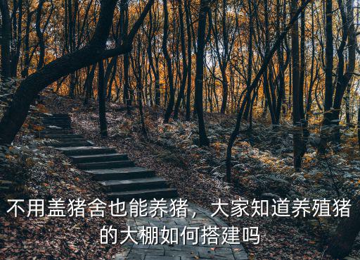 不用蓋豬舍也能養豬，大家知道養殖豬的大棚如何搭建嗎