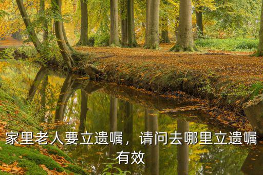 新鄉(xiāng)市去哪里立遺囑,請問去哪里立遺囑有效