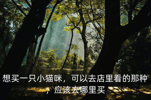 想買一只小貓咪，可以去店里看的那種，應該去哪里買