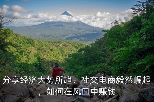 河南社交電商怎么賺錢,社交電商真的賺錢嗎