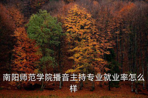 南陽師范學(xué)院播音主持專業(yè)就業(yè)率怎么樣