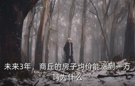 未來3年，商丘的房子均價能漲到一萬嗎為什么