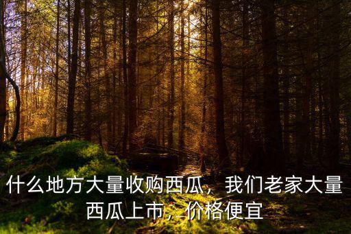 什么地方大量收購西瓜，我們老家大量西瓜上市，價格便宜